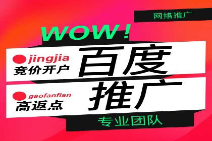 电商成功案例：竞价推广助力品牌崛起